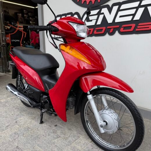 BIZ 100 ES 2013