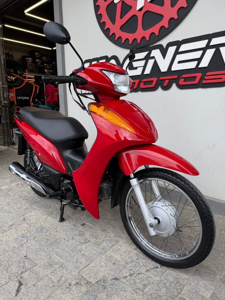 BIZ 100 ES 2013